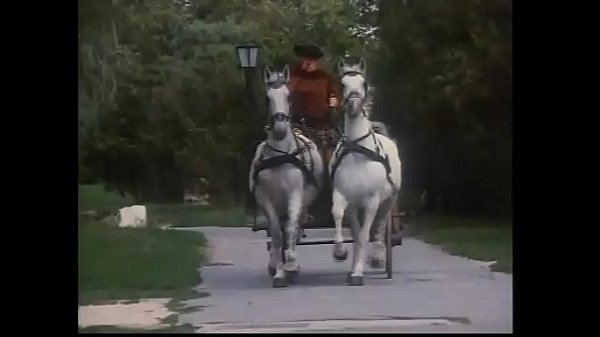 世界長片*被詛咒的家庭 – 第 2 部分